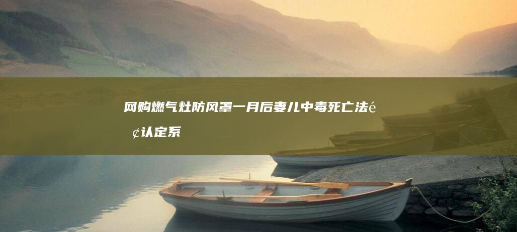 网购燃气灶防风罩一月后妻儿中毒死亡-法院认定系三无产品-厂家商家赔150万-平台承担连带责任 (网购的燃气灶能开通天然气吗)
